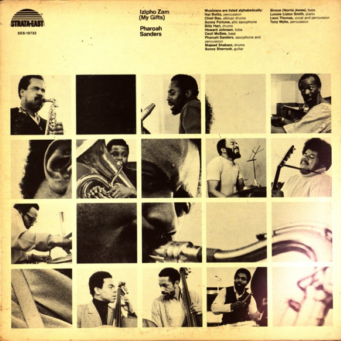 Izipho Zam cover