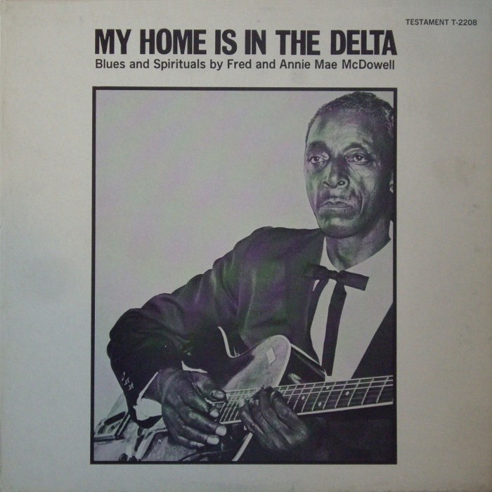 My Home Is in the Delta cover