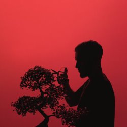 Cover Present album thumb