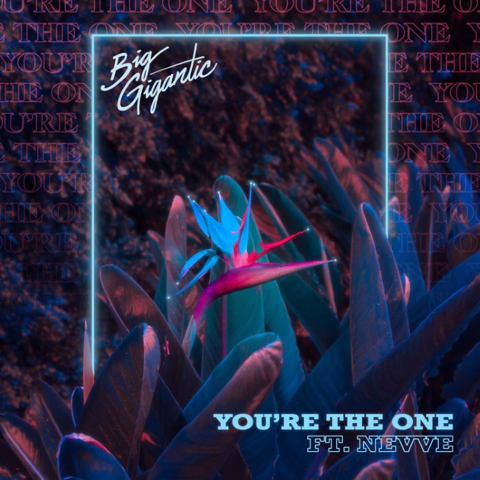 You're the One cover