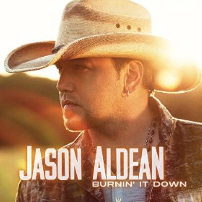 Burnin' It Down cover