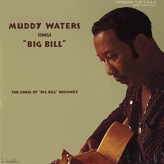 Muddy Waters - Muddy Waters Sings Big Bill Broonzy Vinyl Cover