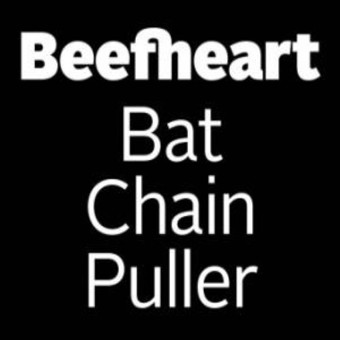 Bat Chain Puller cover