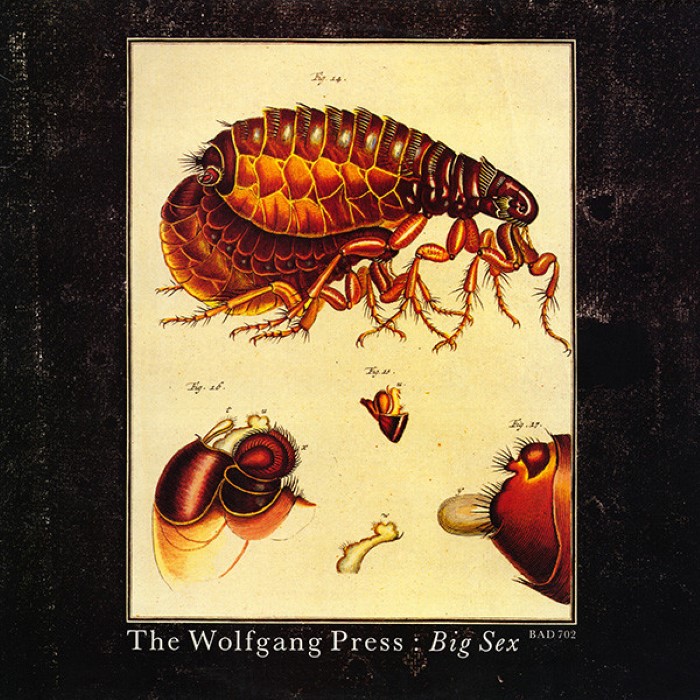 Big Sex cover