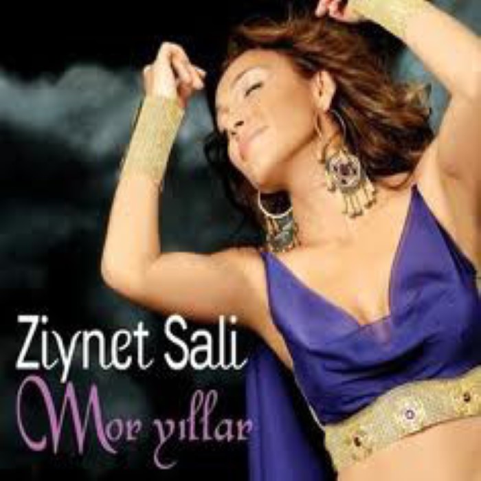 Mor Yıllar cover