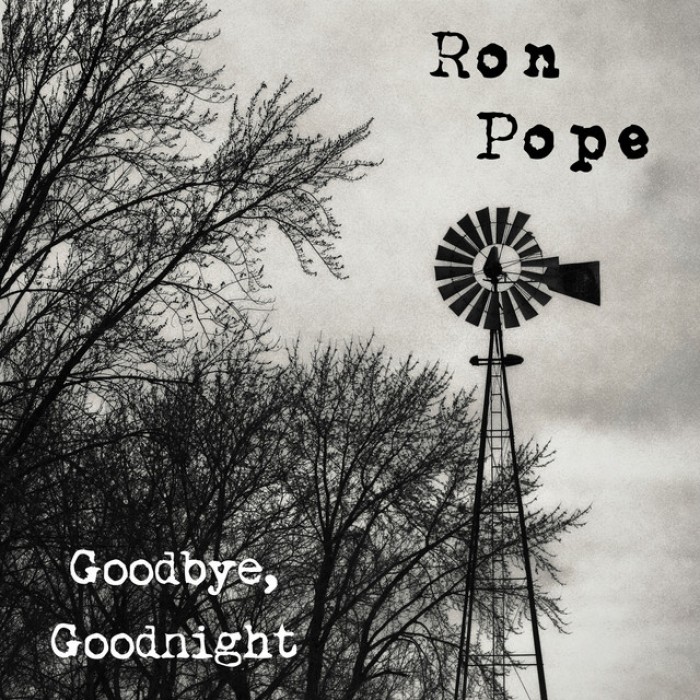 Goodbye, Goodnight cover