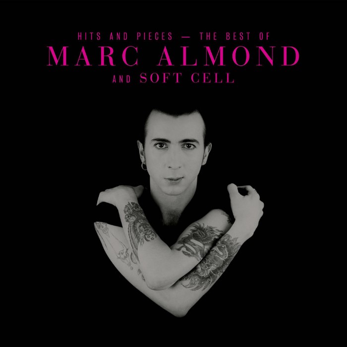 Hits and Pieces - The Best of Marc Almond and Soft Cell cover