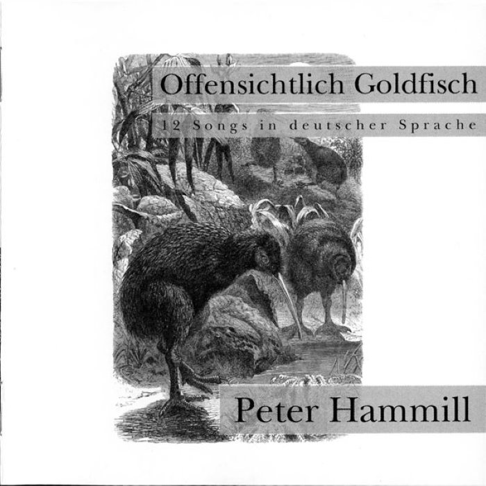 Offensichtlich Goldfisch cover