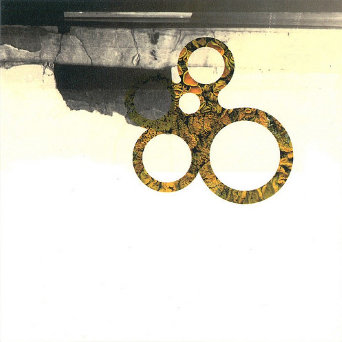 The Life of the World in Flux cover