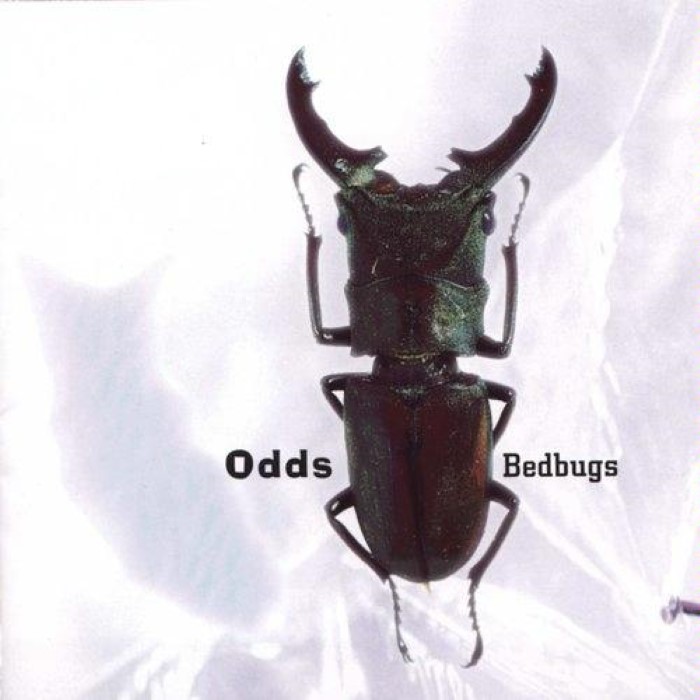 Bedbugs cover