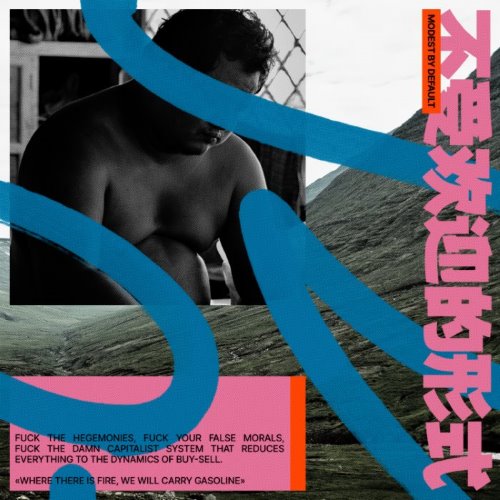 THE UNDESIRABLE FORMS album thumb