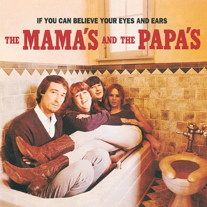 If You Can Believe Your Eyes and Ears cover