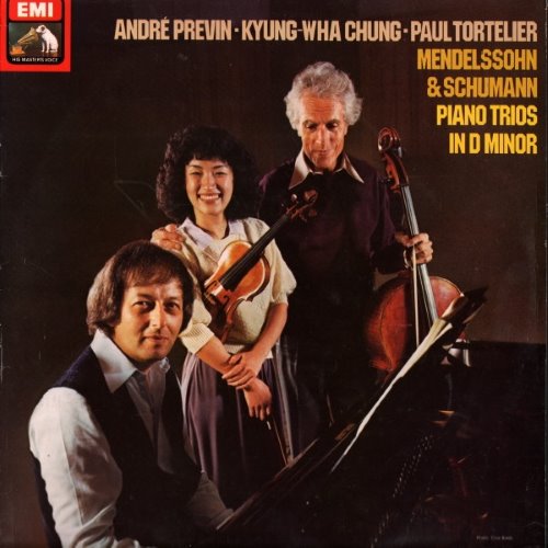 Piano Trios in D minor album thumb