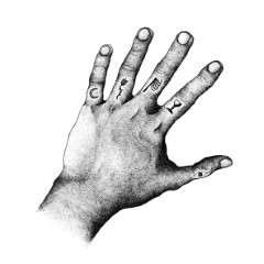 album thumb