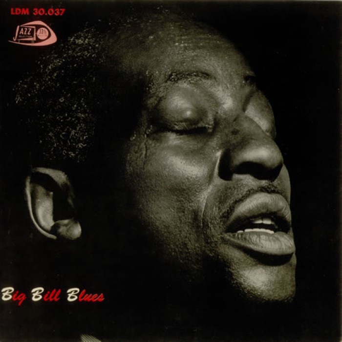 Big Bill Broonzy cover