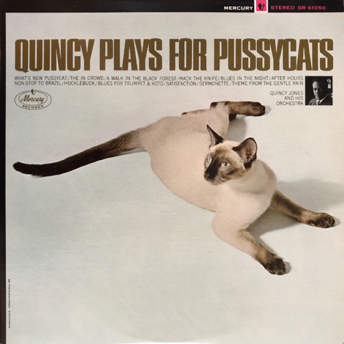 Quincy Plays for Pussycats