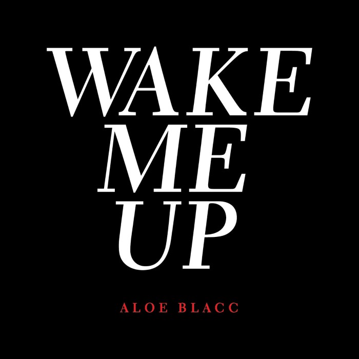 Wake Me Up (Acoustic) cover