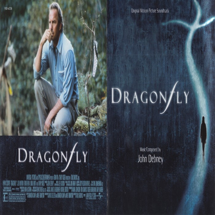 Dragonfly cover
