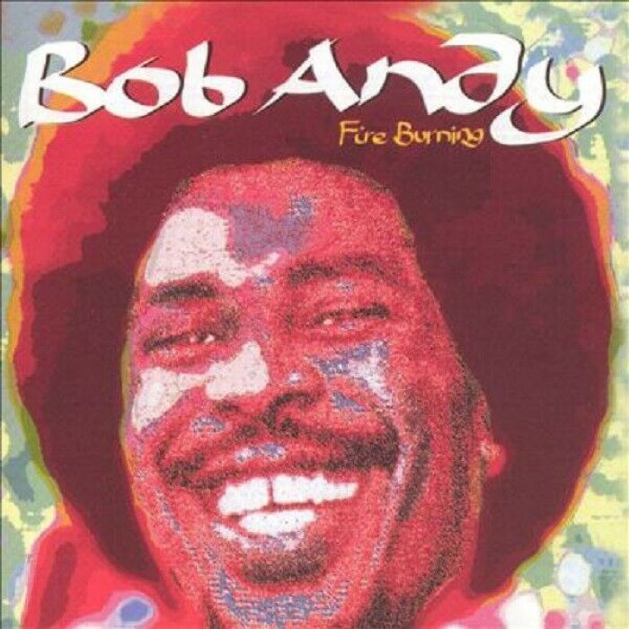 Fire Burning cover
