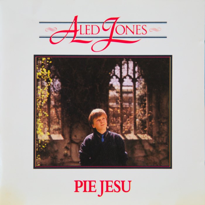 Pie Jesu cover