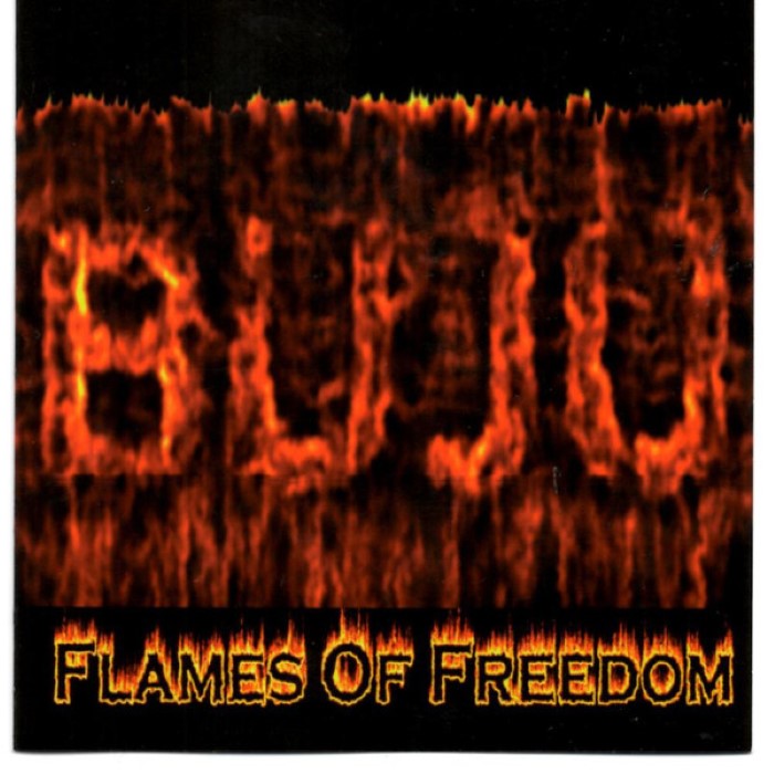 Flames of Freedom cover