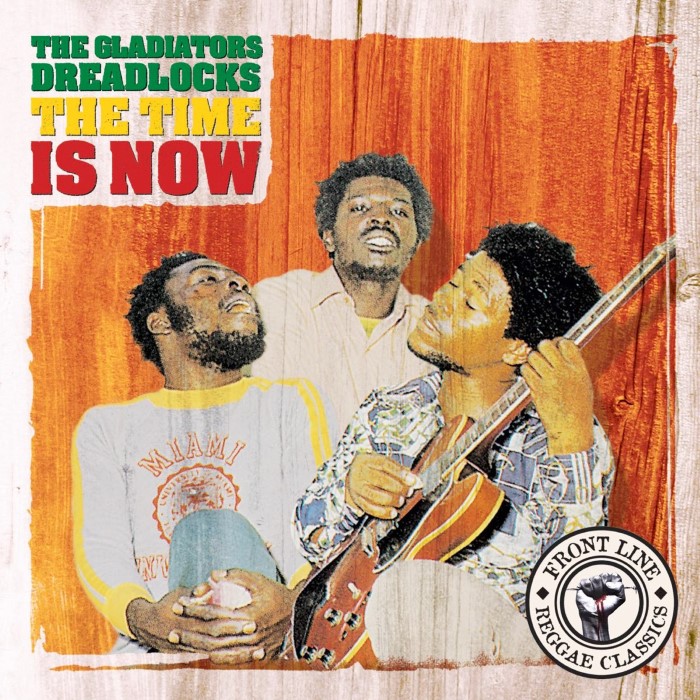 Dreadlocks, the Time Is Now cover
