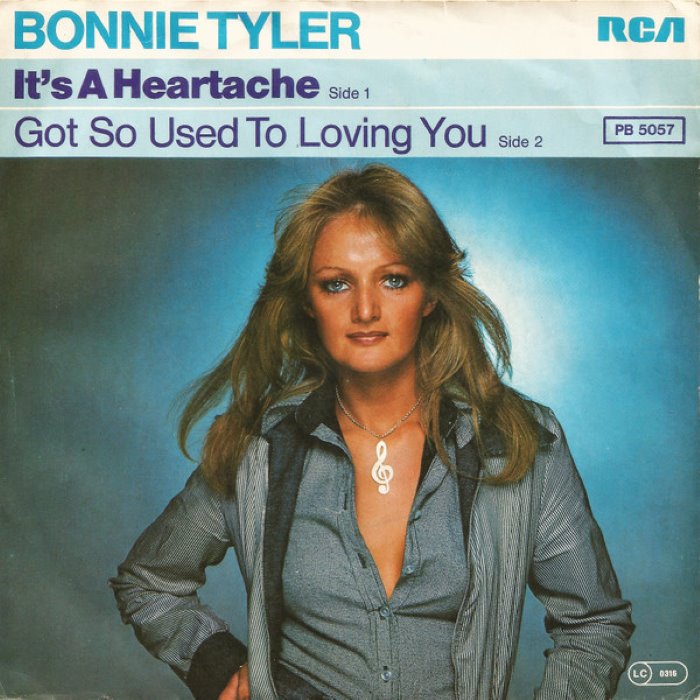 It's a Heartache / I've Got So Used to Lovin' You cover