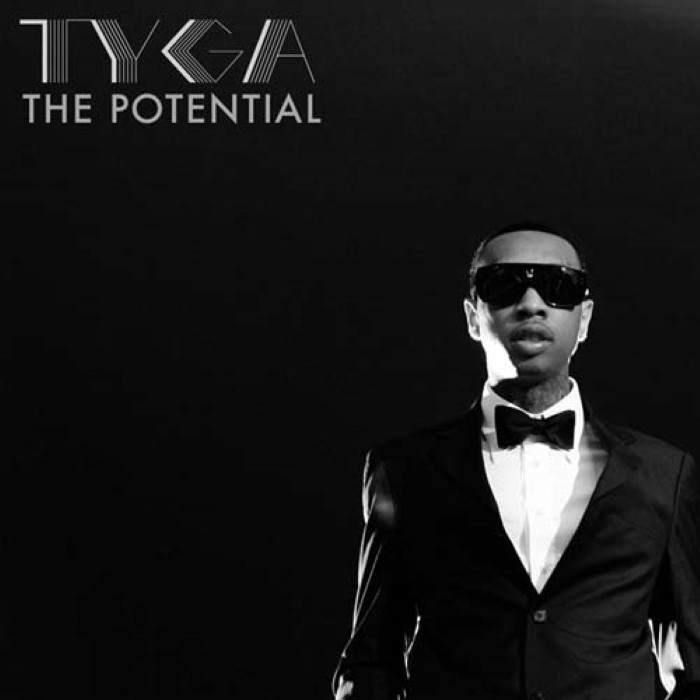 The Potential cover