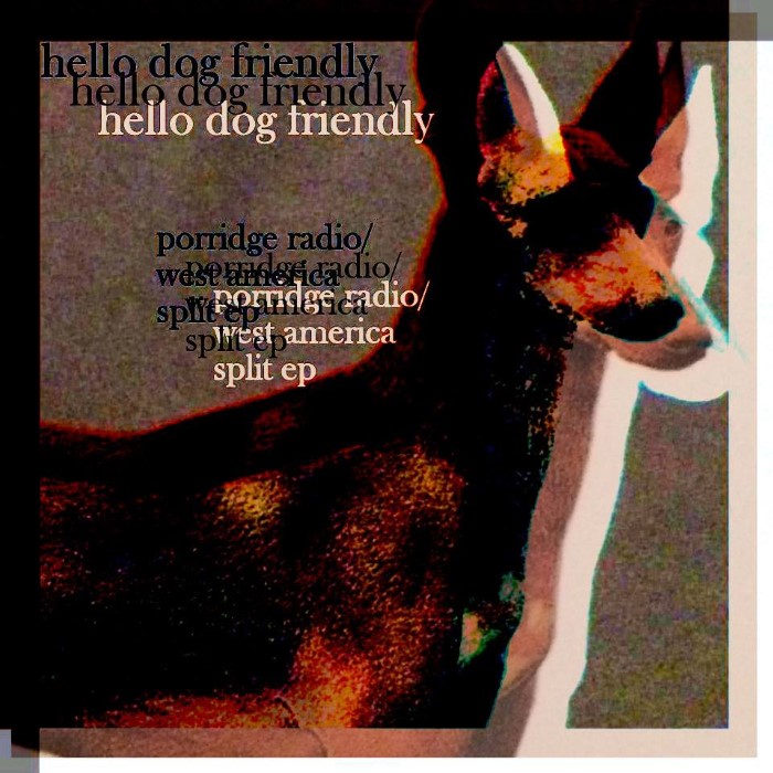 Hello Dog Friendly cover