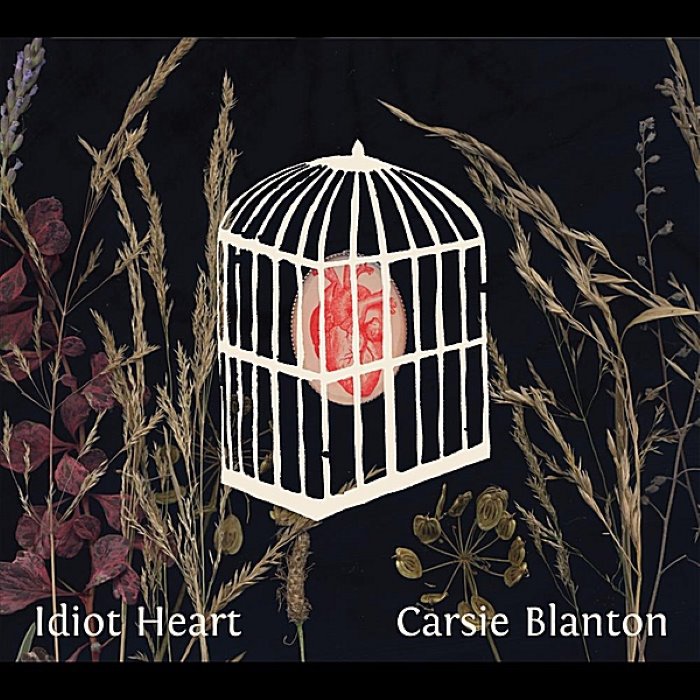 Idiot Heart cover