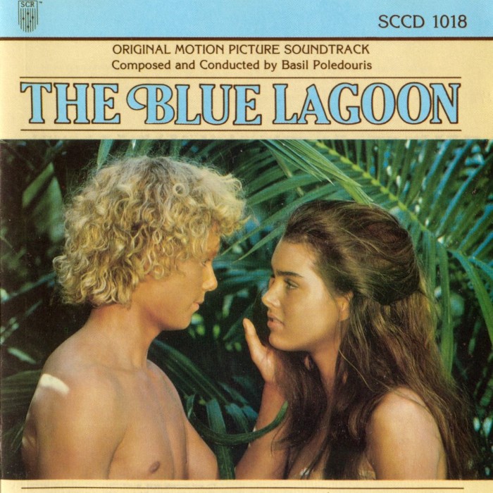 The Blue Lagoon cover