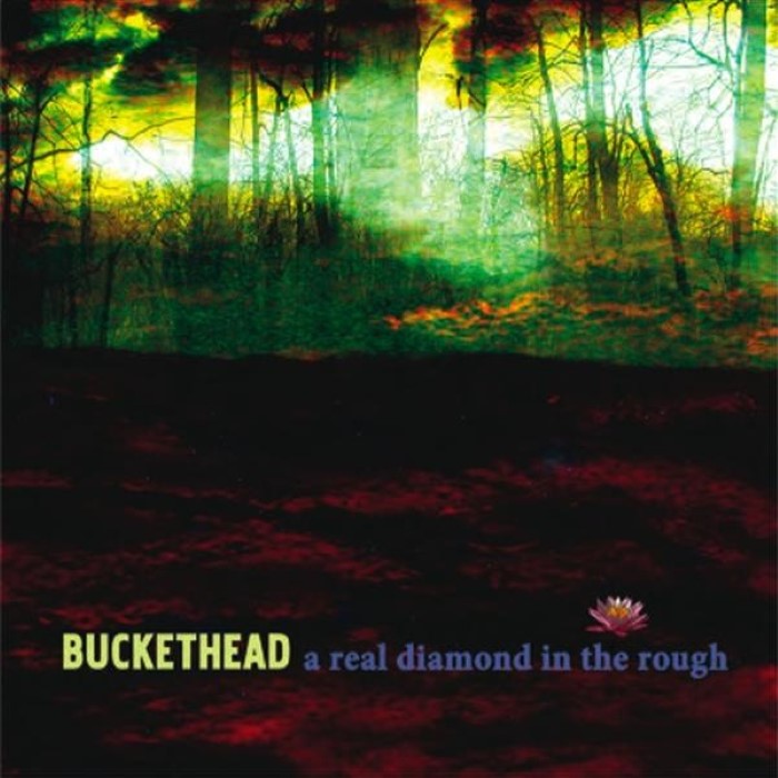 A Real Diamond in the Rough cover