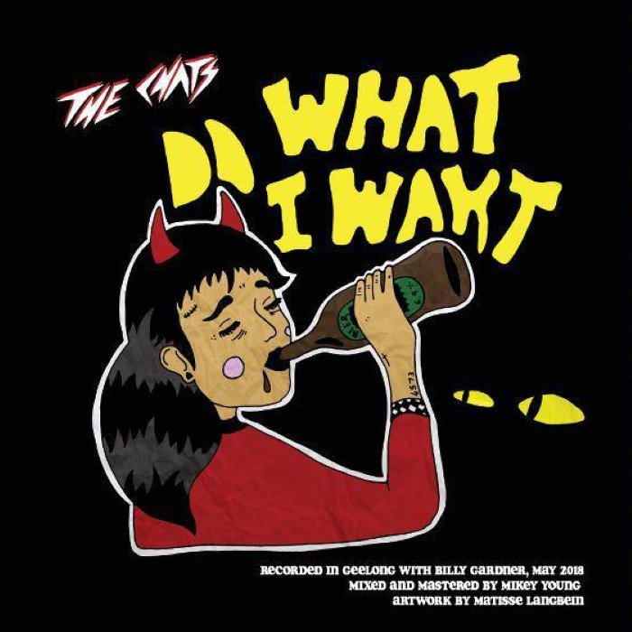 Do What I Want / Smoko cover