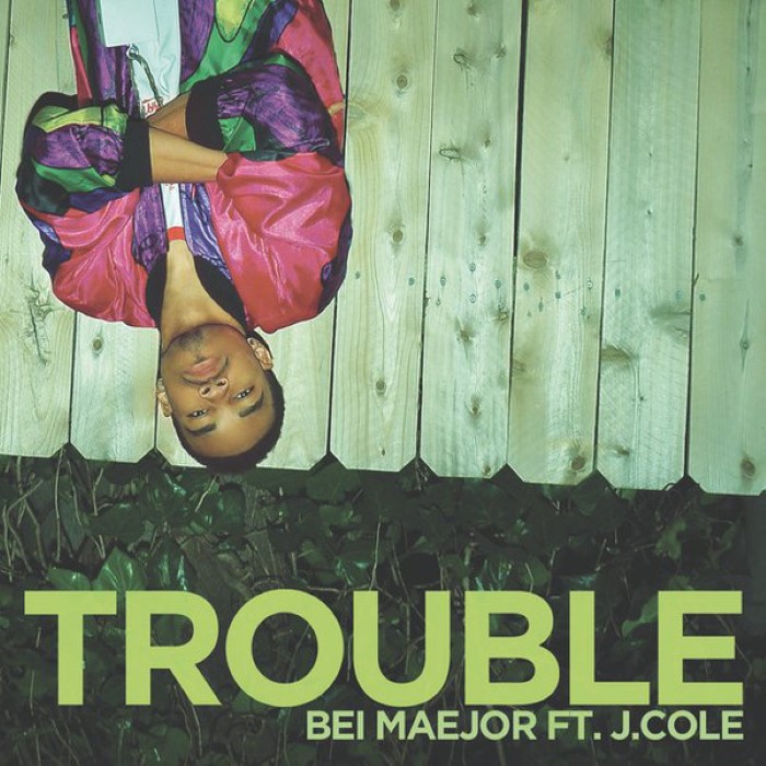 Trouble cover