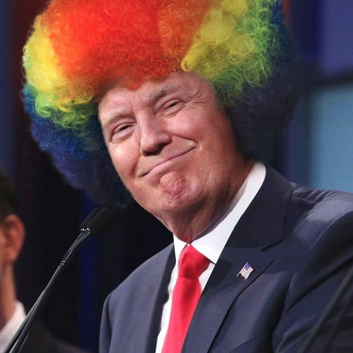 Trumpular cover