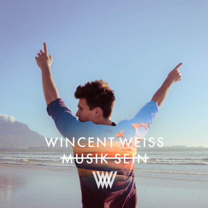 Musik Sein cover