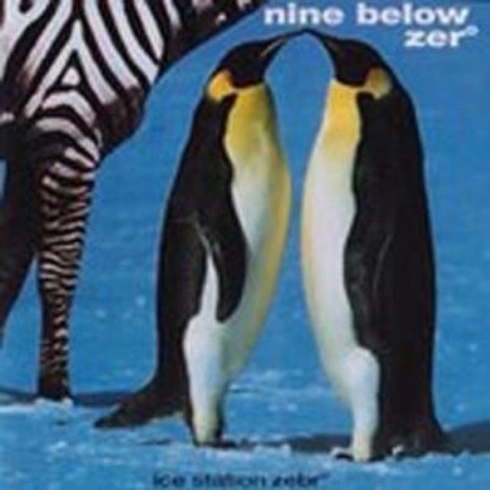Ice Station Zebro cover