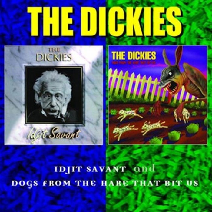 Idjit Savant / Dogs From the Hare That Bit Us cover