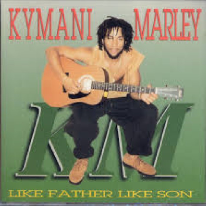 Like Father Like Son cover