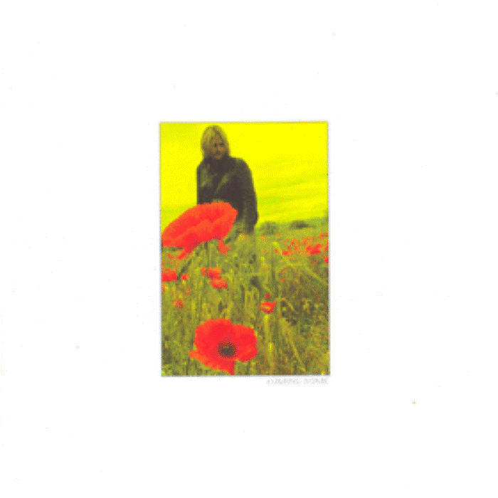 In The Poppy Fields: Five [Coming Home] cover