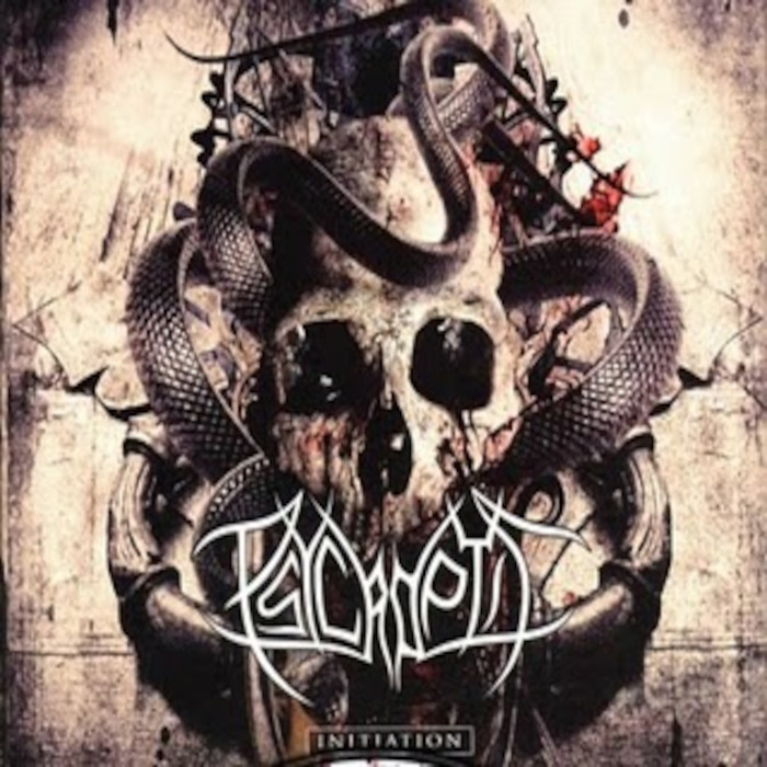 Initiation cover