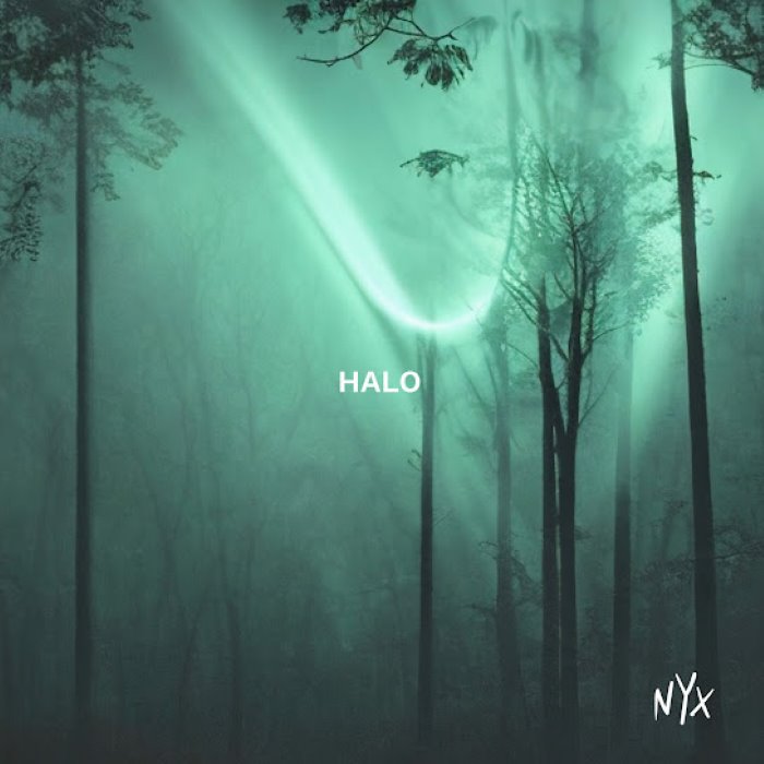 Halo cover
