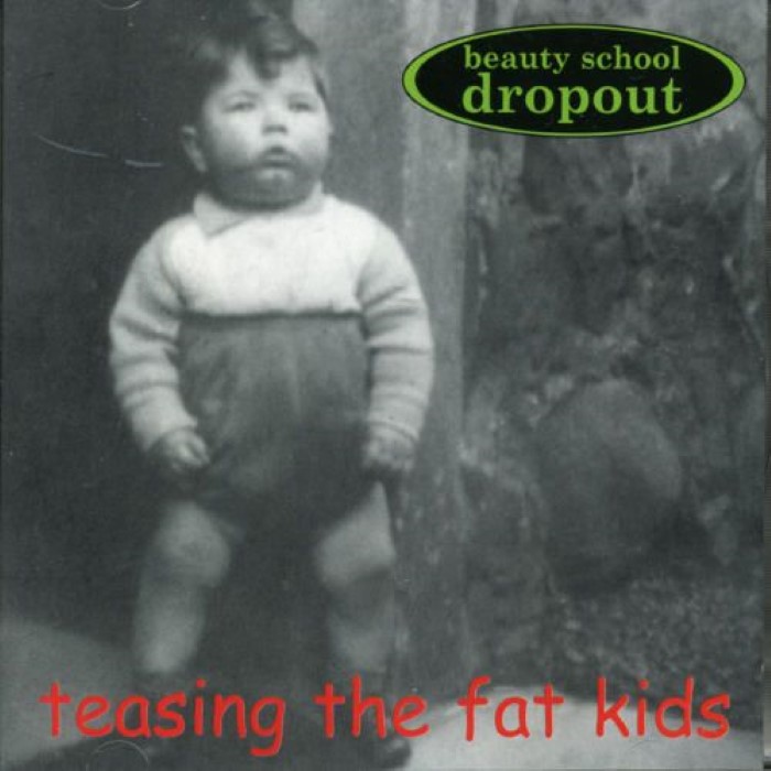 Teasing the Fat Kids cover