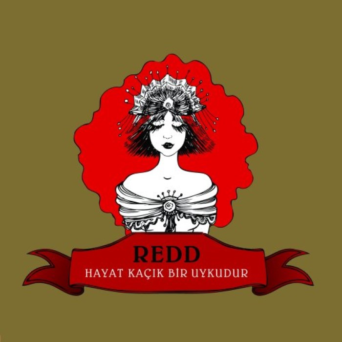 Hayat Kaçık Bir Uykudur cover