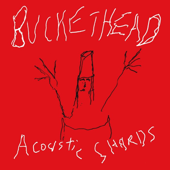 Acoustic Shards cover