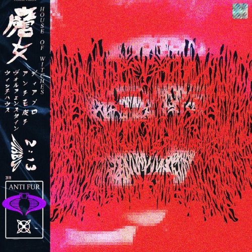 House of Witches album thumb