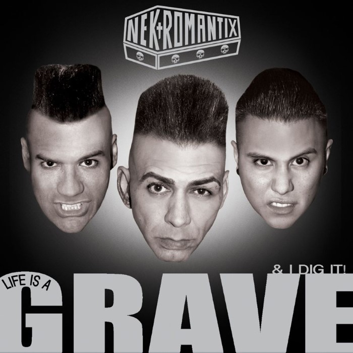 Life Is a Grave & I Dig It! cover