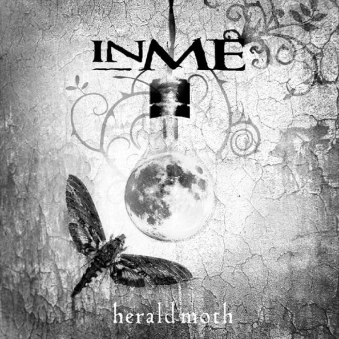 Herald Moth cover