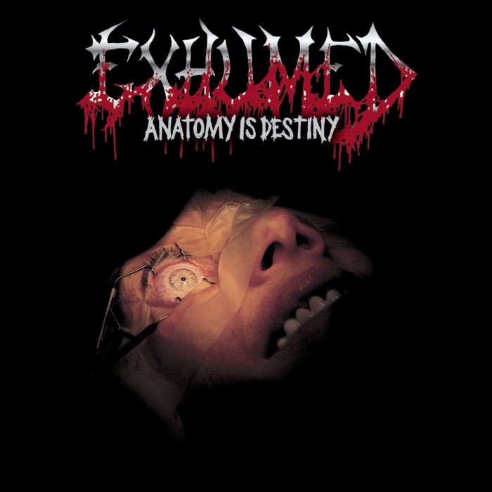 Anatomy Is Destiny cover