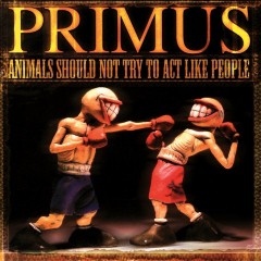 Album Thumb